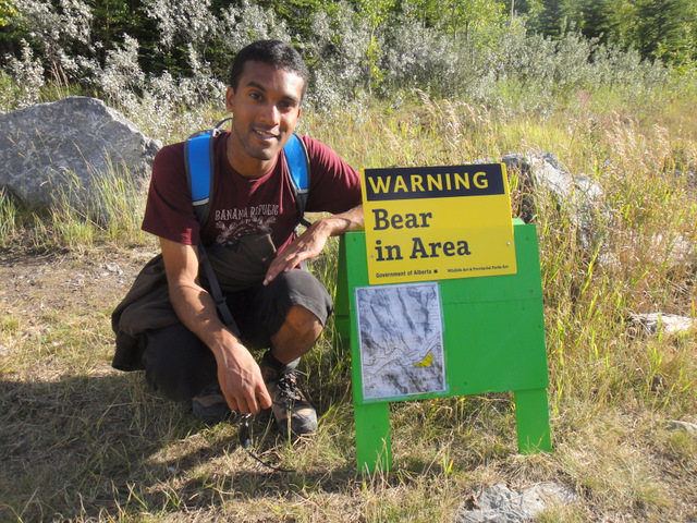 Uh oh, a bear! Robin is clearly very upset about this…