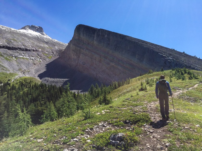 1) Hike through the forest to the meadow. 2) Hike up the gully to the left of Read's Tower. 3) Lots of rock. 4) Scree scramble to the top. 