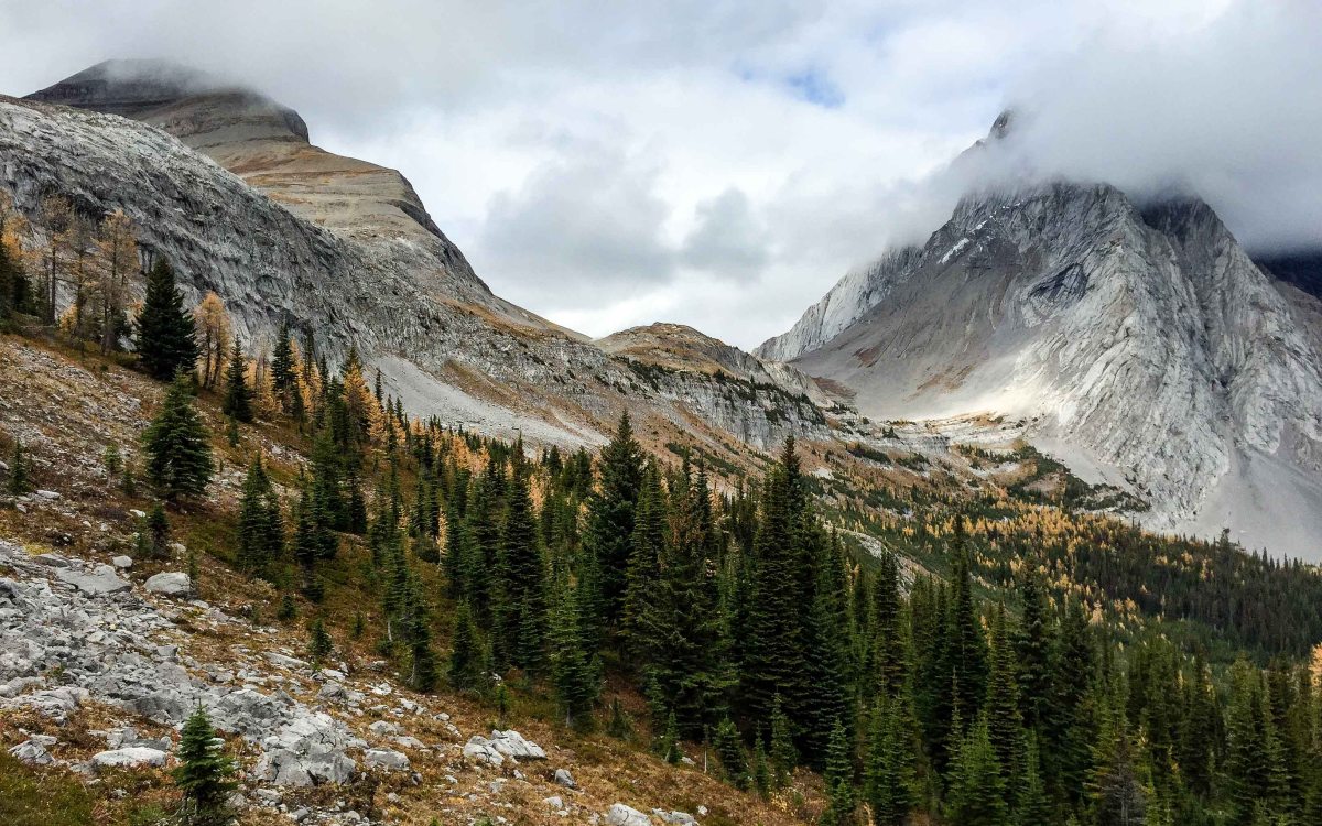 2015: The Year of the&nbsp;Mountain