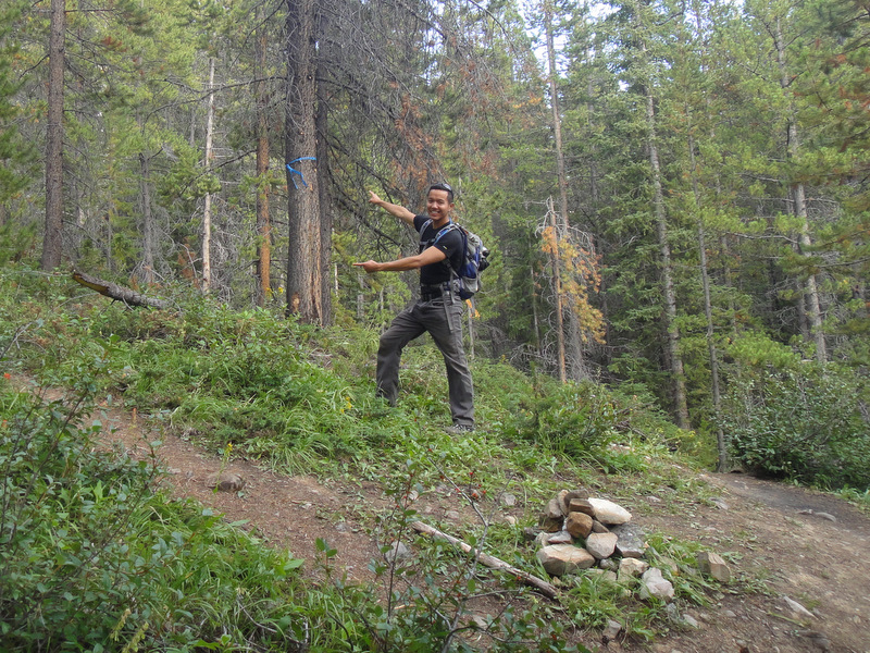 To the left, to the left…