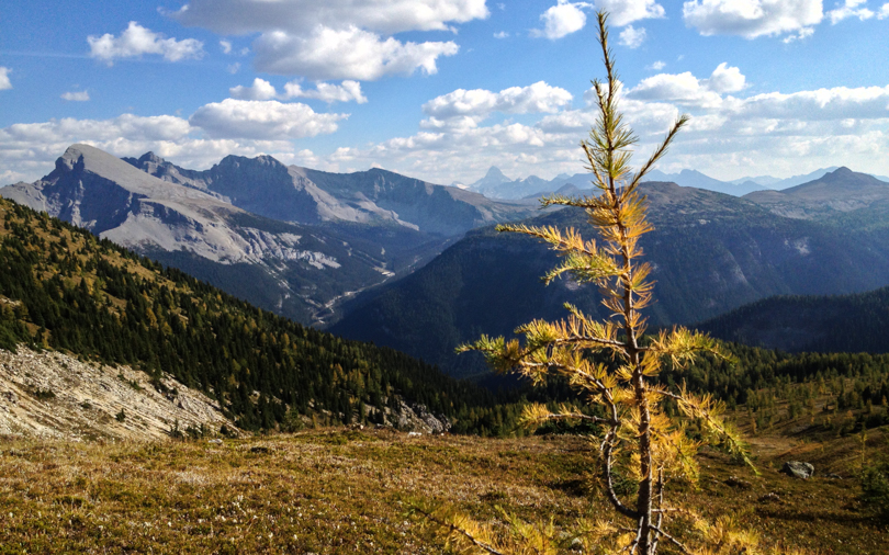 View from Harvey Pass, Banff National Park