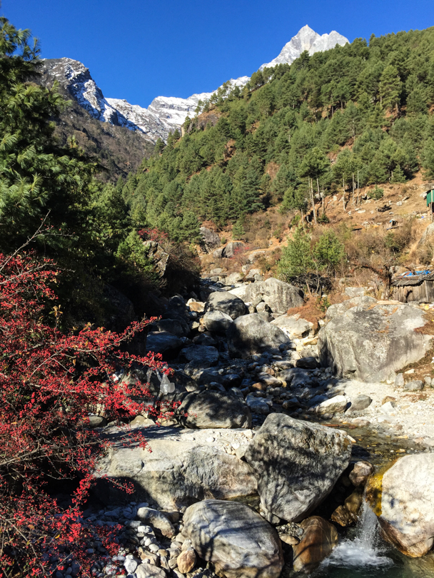 Even in December, it's warm hiking during the day.