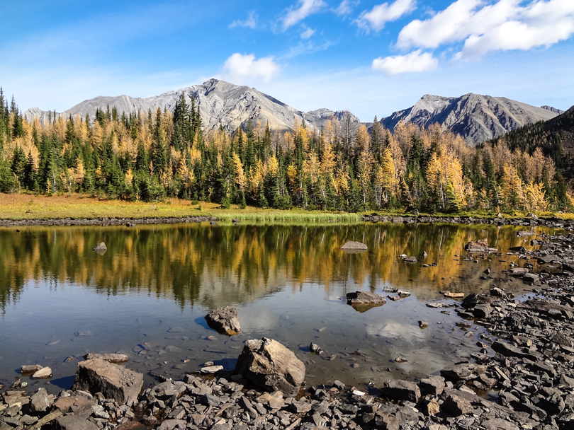 Water in Pocaterra cirque