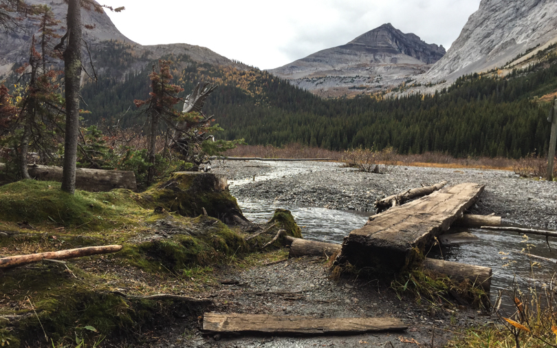 Now entering the creek area. Those sandals may come in handy.
