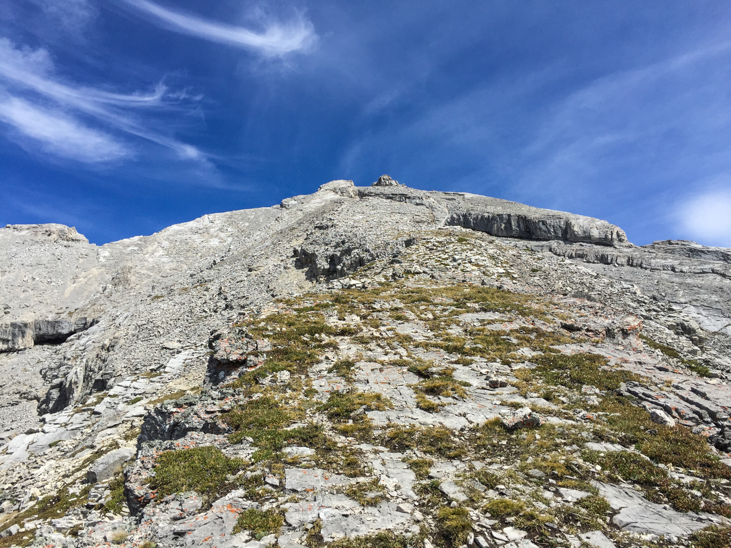 For my first real scramble this year, I chose a doozy...