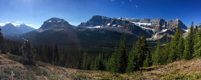 Shortly after beginning the hike, you're treated with views of the Crowfoot Glacier.