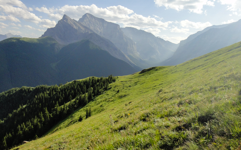 The emotion of gratitude. How often do we feel it?